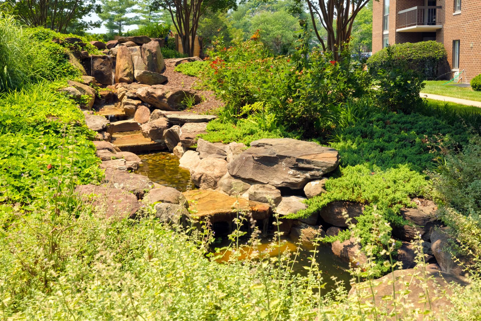 Stream